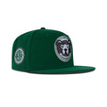 New Era Chicago Cubs Fitted Grey Bottom "Kelly Green Grey White" (1908 World Series Embroidery)